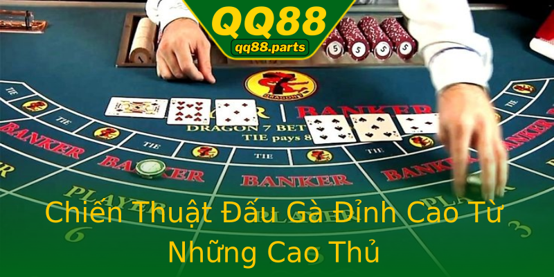 Chiến Thuật Đấu Gà Đỉnh Cao Từ Những Cao Thủ Chiến Thuật Đấu Gà Đỉnh Cao Từ Những Cao Thủ