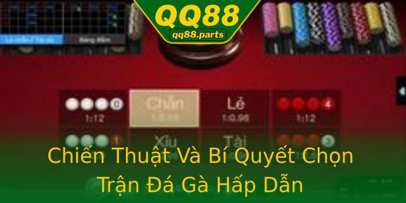 Chiến Thuật Và Bí Quyết Chọn Trận Đá Gà Hấp Dẫn Chiến Thuật Và Bí Quyết Chọn Trận Đá Gà Hấp Dẫn