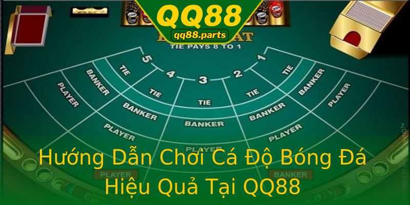 Hướng Dẫn Chơi Cá Độ Bóng Đá Hiệu Quả Tại QQ88 Hướng Dẫn Chơi Cá Độ Bóng Đá Hiệu Quả Tại QQ88