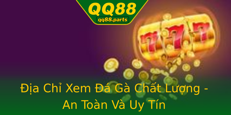 Địa Chỉ Xem Đá Gà Chất Lượng - An Toàn Và Uy Tín Địa Chỉ Xem Đá Gà Chất Lượng - An Toàn Và Uy Tín