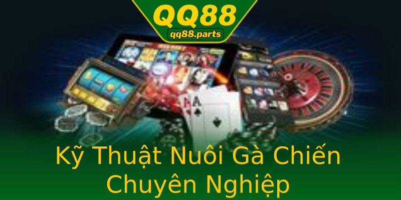 Kỹ Thuật Nuôi Gà Chiến Chuyên Nghiệp Kỹ Thuật Nuôi Gà Chiến Chuyên Nghiệp