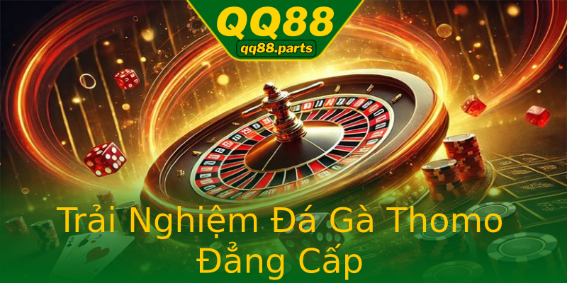 Trải Nghiệm Đá Gà Thomo Đẳng Cấp Trải Nghiệm Đá Gà Thomo Đẳng Cấp